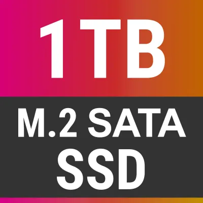 1000GB M.2 SATA SSD